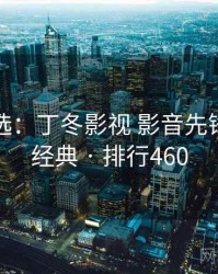 网友评选：丁冬影视 影音先锋的十大经典 · 排行460