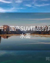 谜团解开：国产SUV精品的真相浮出水面