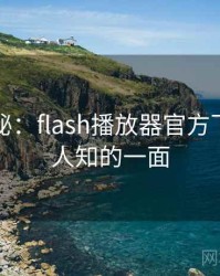 独家揭秘：flash播放器官方下载不为人知的一面