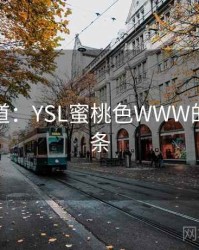 追踪报道：YSL蜜桃色WWW的秘密链条