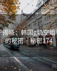 真相终于揭晓：韩国g奶空姐背后隐藏的秘密 · 秘密174