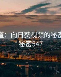 追踪报道：向日葵视频的秘密链条 · 秘密547