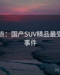 数据盘点：国产SUV精品最受关注的事件