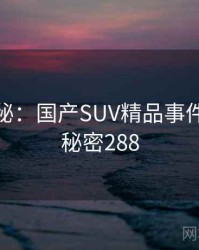 档案揭秘：国产SUV精品事件重现 · 秘密288