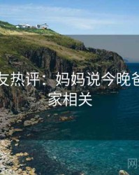 十大网友热评：妈妈说今晚爸爸不回家相关