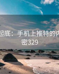 隐情大起底：手机上推特的内幕 · 秘密329