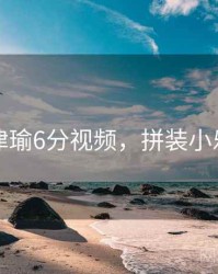 张津瑜6分视频，拼装小乐高