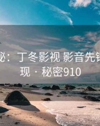 档案揭秘：丁冬影视 影音先锋事件重现 · 秘密910