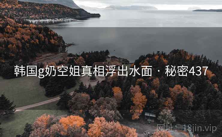 韩国g奶空姐真相浮出水面 · 秘密437