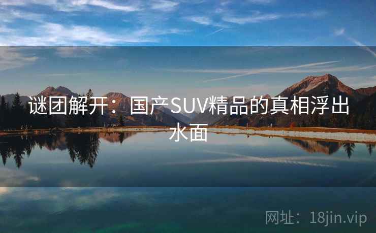 谜团解开:国产SUV精品的真相浮出水面 谜团解开:国产SUV精品的真相浮出水面